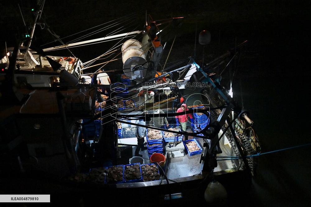 Return From Scallop Fishing - Port-En-Bessin. FC