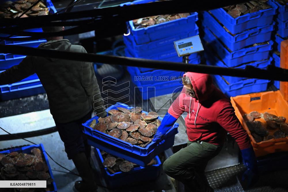 Return From Scallop Fishing - Port-En-Bessin. FC