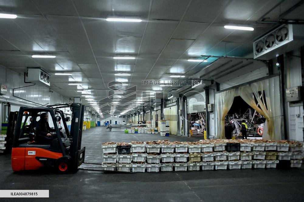 Return From Scallop Fishing - Port-En-Bessin. FC