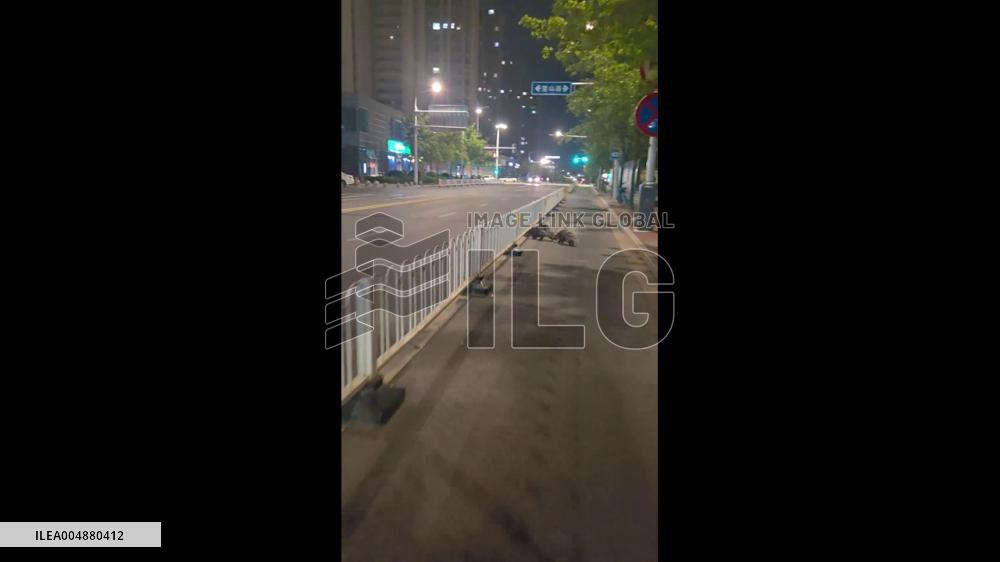 China: Two Porcupines Spotted Crossing Street in Nanjing