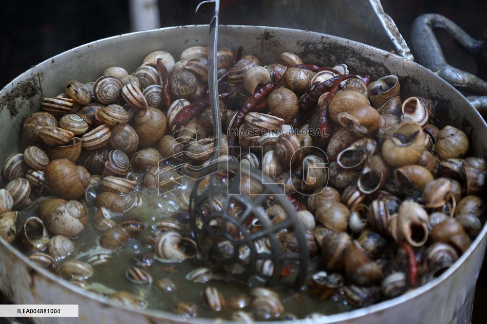 Fruit and Vegetable Market in Oran