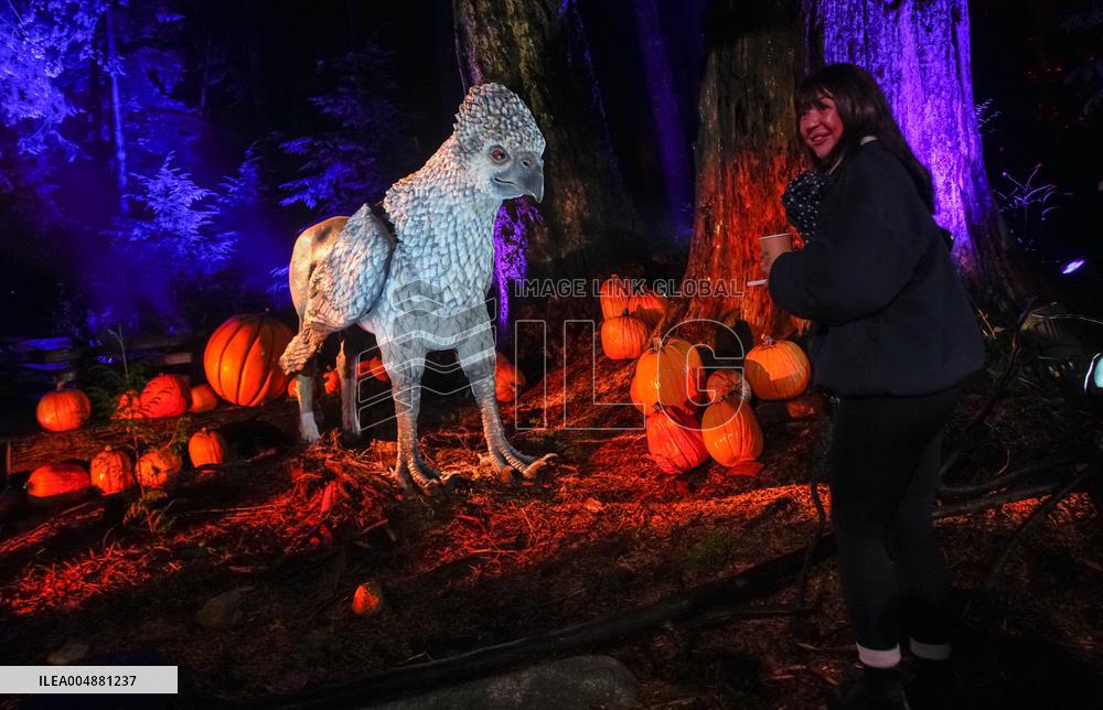 Harry Potter - A Forbidden Forest Experience - Vancouver
