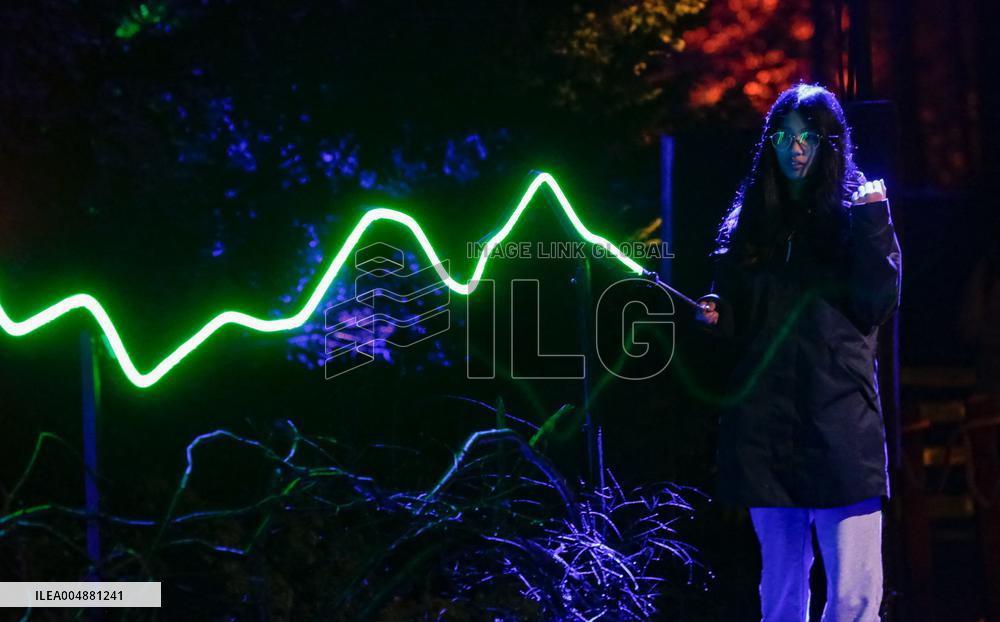 Harry Potter - A Forbidden Forest Experience - Vancouver