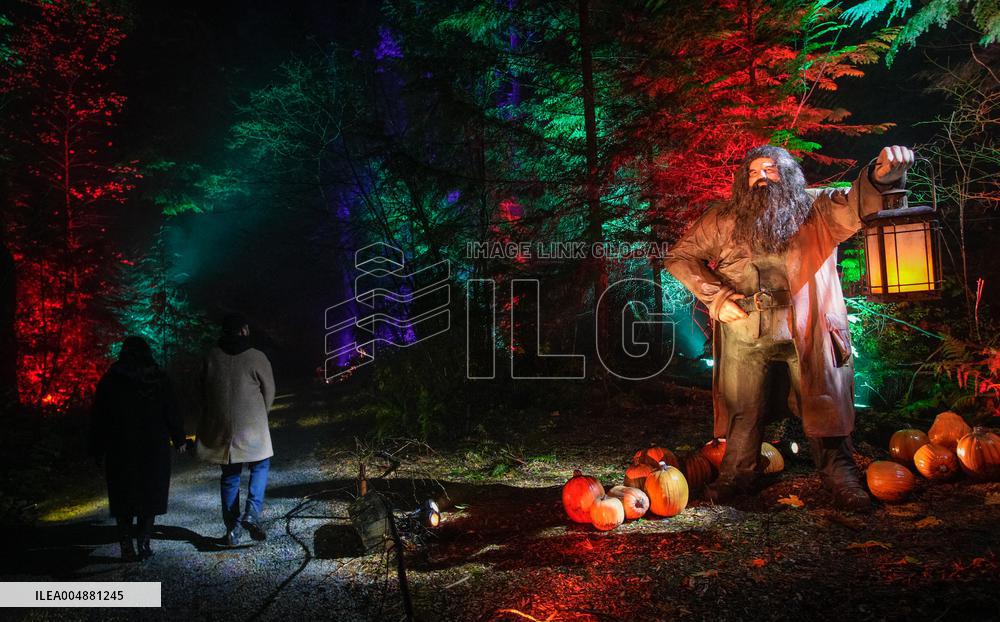 Harry Potter - A Forbidden Forest Experience - Vancouver