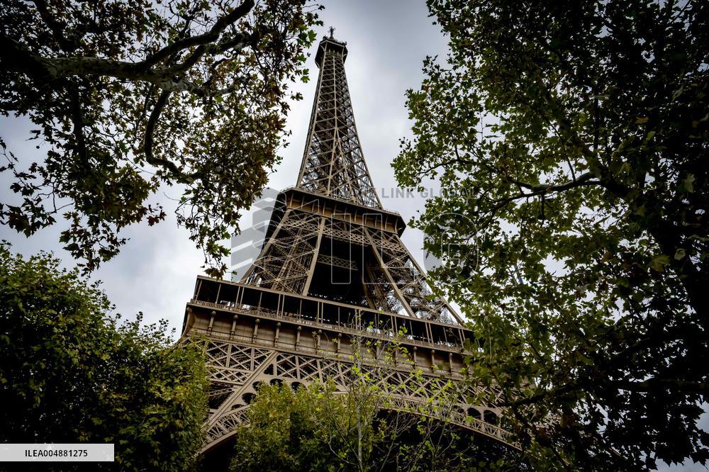 Eiffel Tower Illustrations - Paris