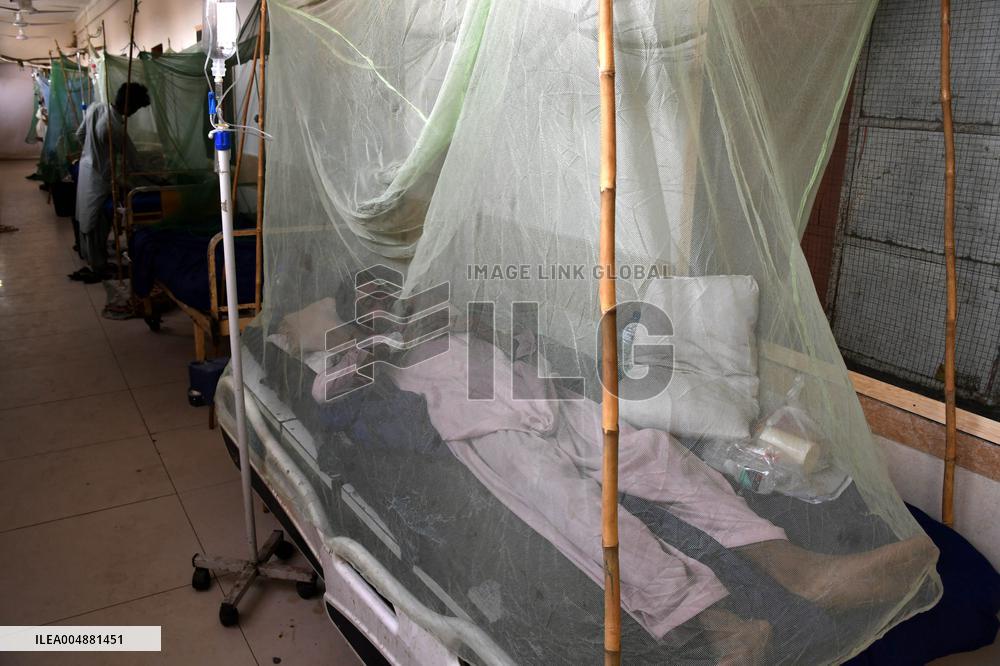 Dengue Fever Cases Are Rising Sharply in Pakistan