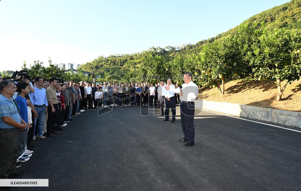 President Xi Jinping Visits A Pomelo - China
