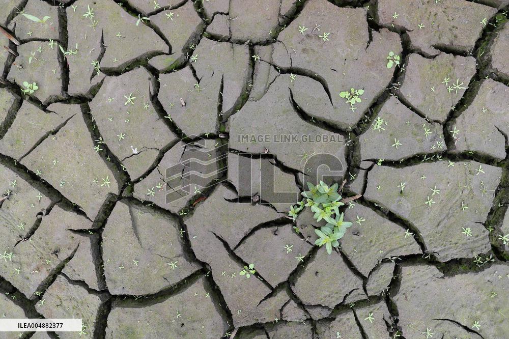Low Water Level in Belesar Reservoir - Spain