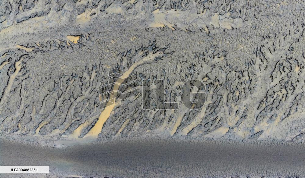 Qiantang River Tidal Tree Landscape