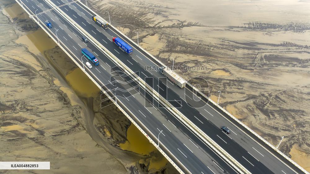 Qiantang River Tidal Tree Landscape