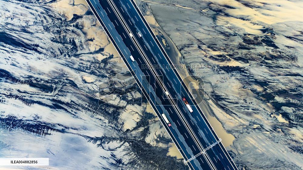 Qiantang River Tidal Tree Landscape