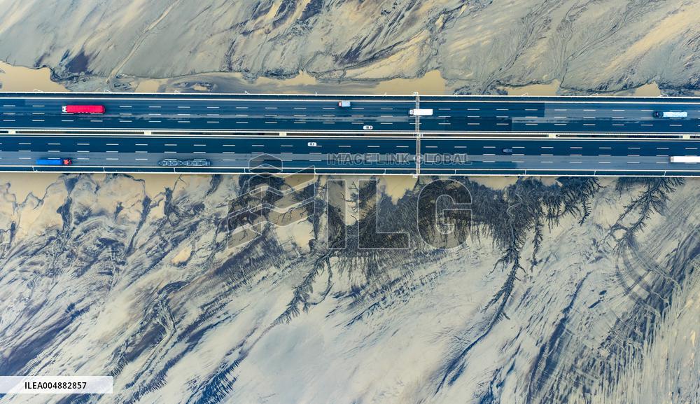 Qiantang River Tidal Tree Landscape