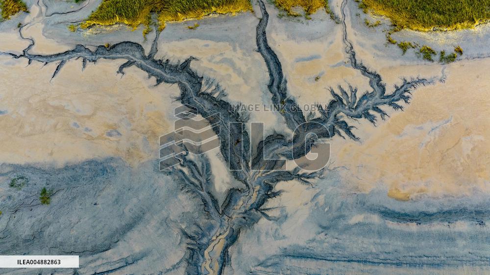 Qiantang River Tidal Tree Landscape