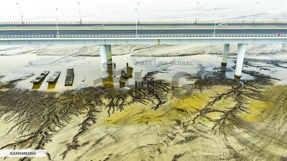 Qiantang River Tidal Tree Landscape