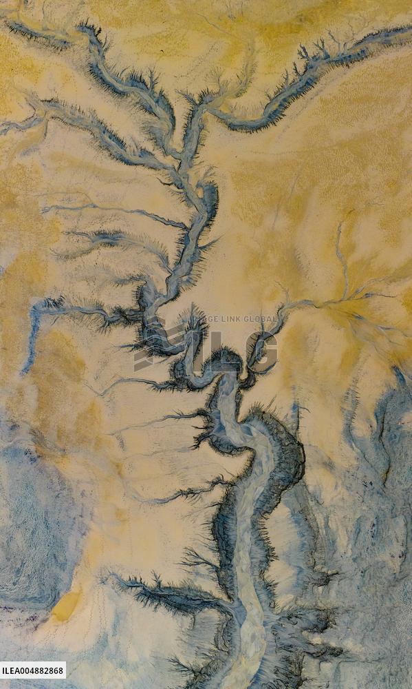 Qiantang River Tidal Tree Landscape