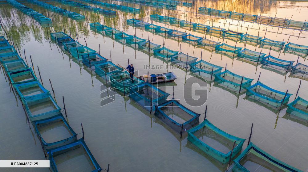 Crab Breeding Hall