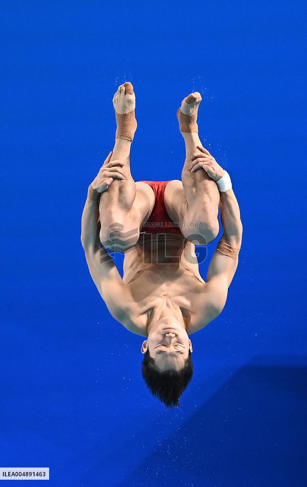 15th National Games - Men's 3M Springboard Final - China