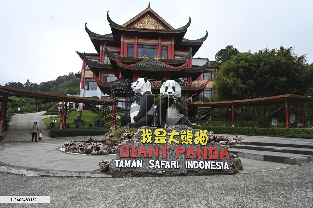 Panda Arrives In West Java - Indonesia