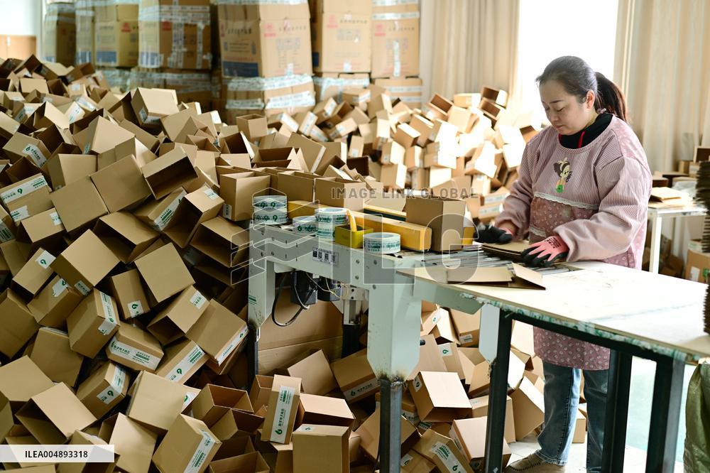 11.11 Online Shopping Logistics Peak