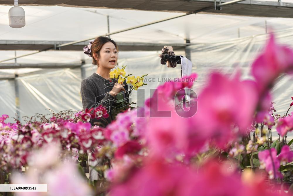 China's Online Sales Industry