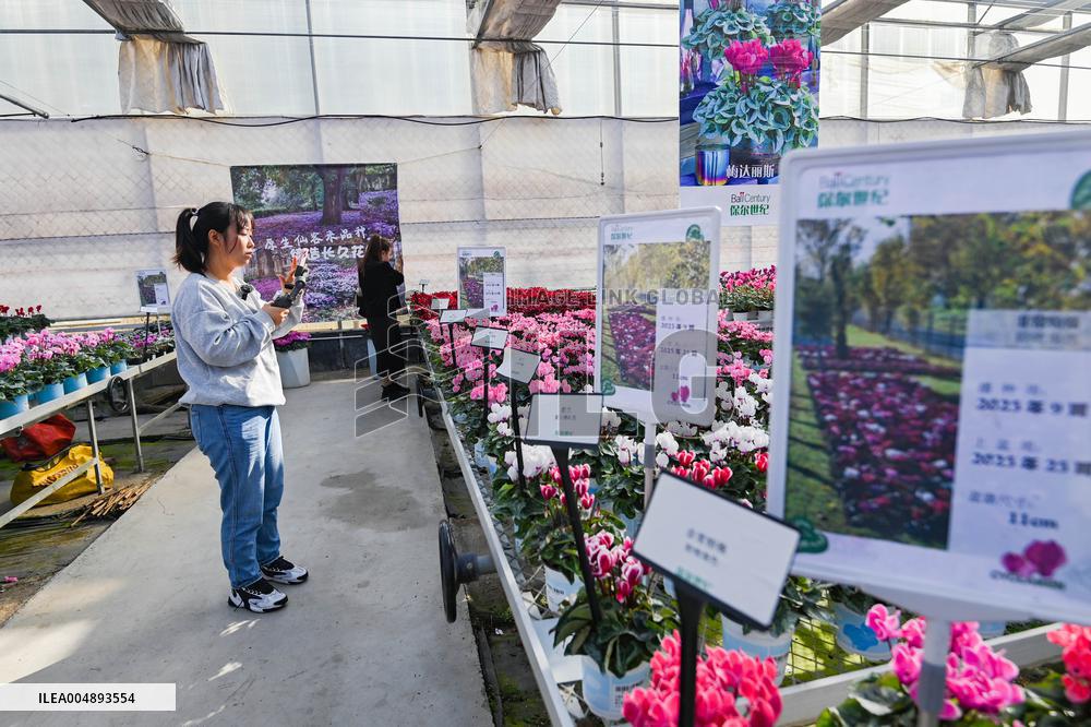 China's Online Sales Industry