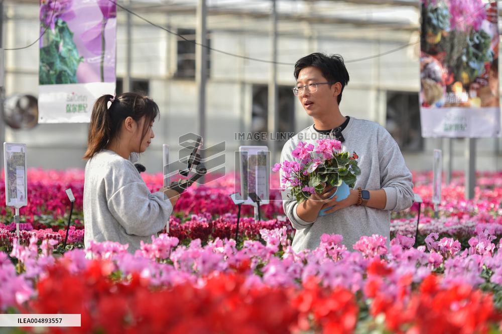 China's Online Sales Industry