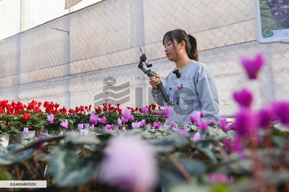 China's Online Sales Industry