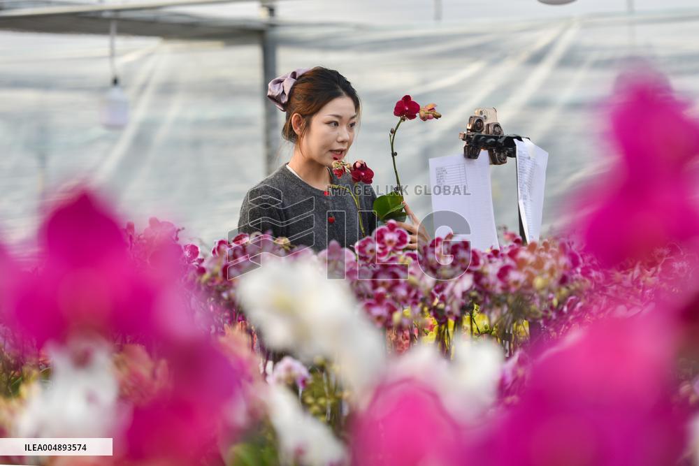 China's Online Sales Industry