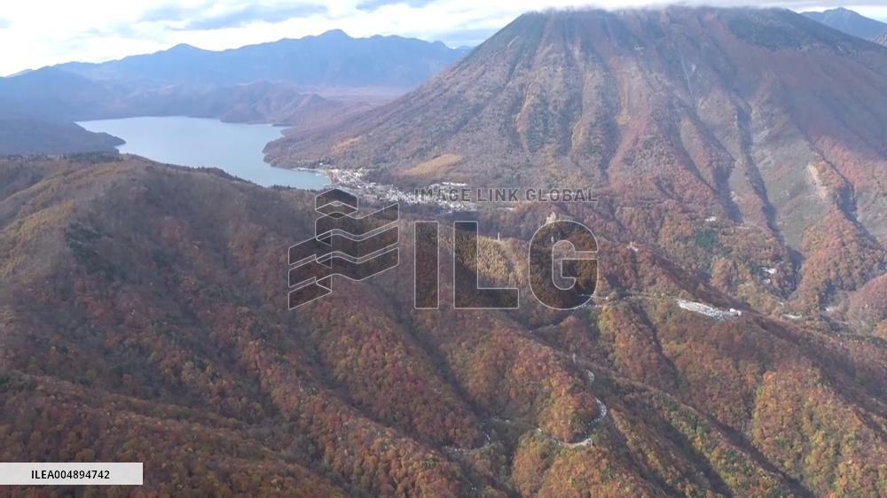Autumn leaves in Nikko