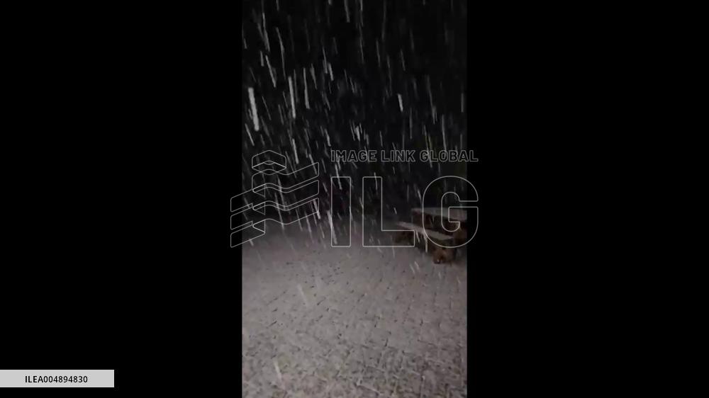 US: New Jersey Sees First Snow of Season on Veterans Day