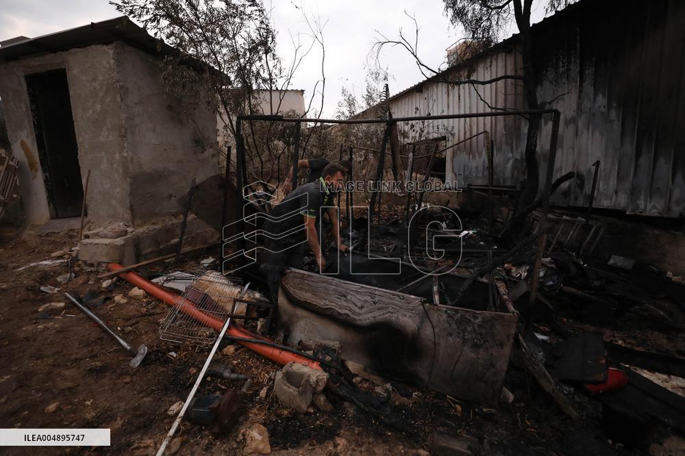 Settlers Attack Tulkarm Village - Palestine