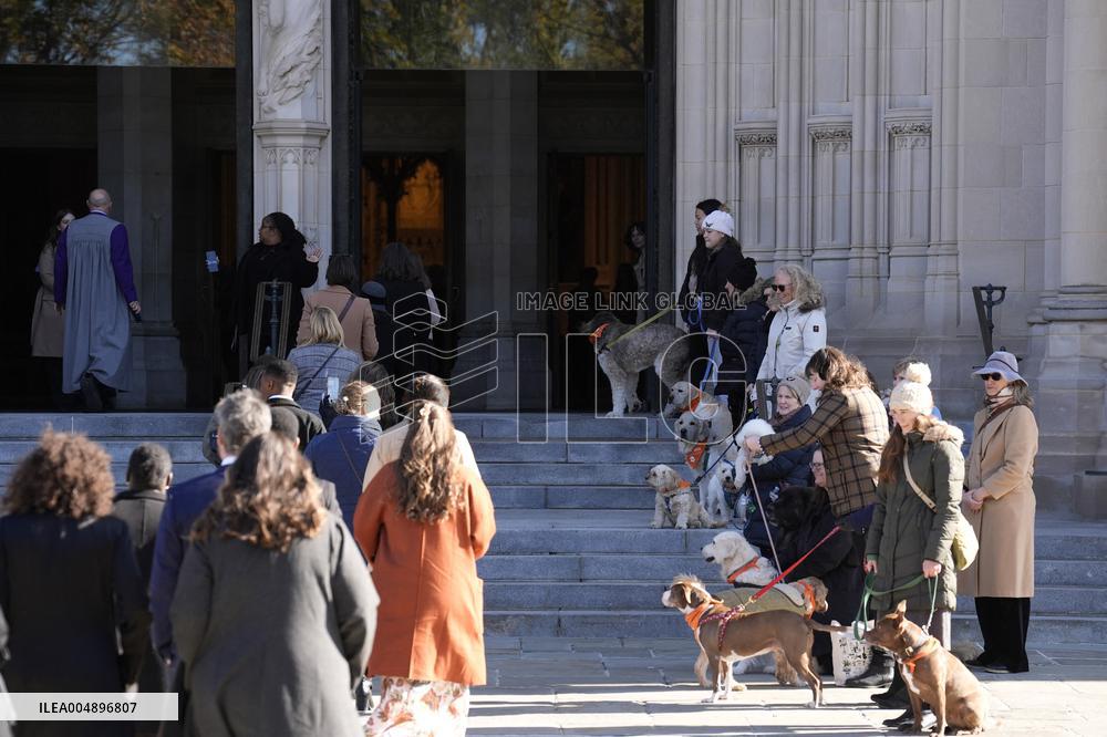 Jane Goodall funeral service - Washington