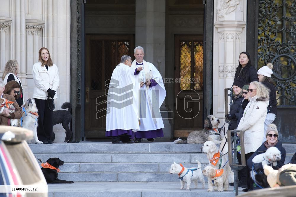 Jane Goodall funeral service - Washington