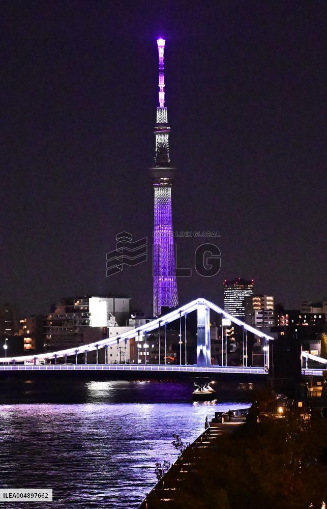 Tokyo Skytree in anti-gendered violence color