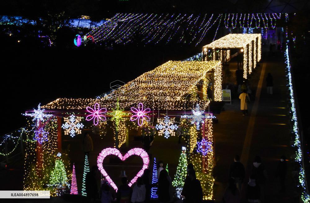 Flower park lit up in western Japan