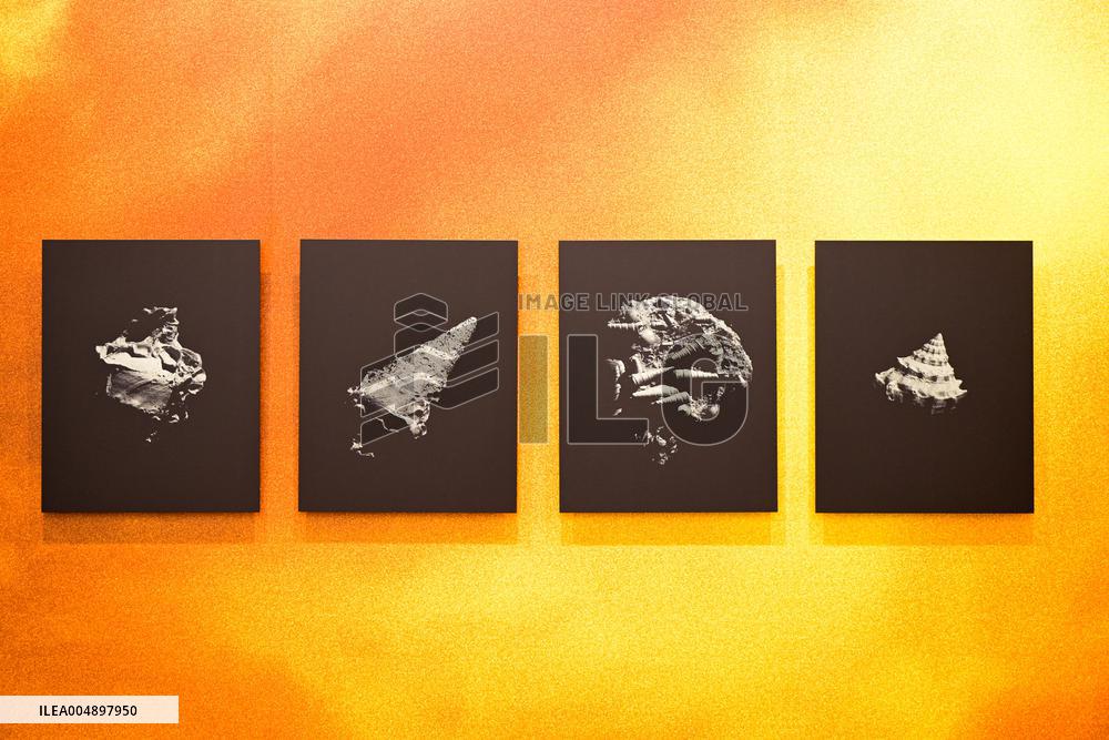 Paris Photo Art Fair 2025 - Paris