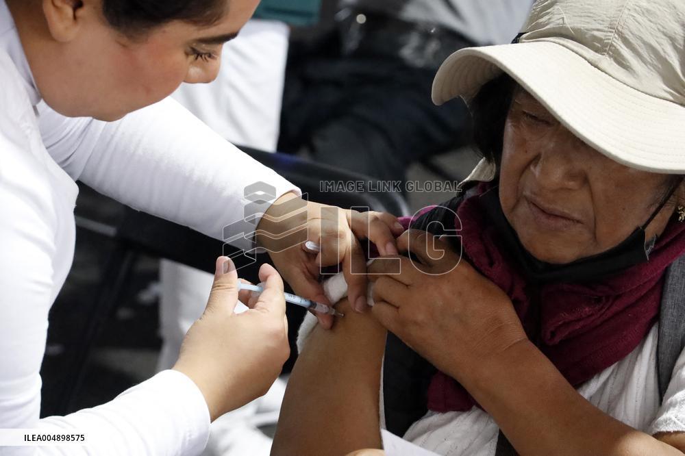 Vaccination Program Against Covid-19 and Influenza - Mexico City