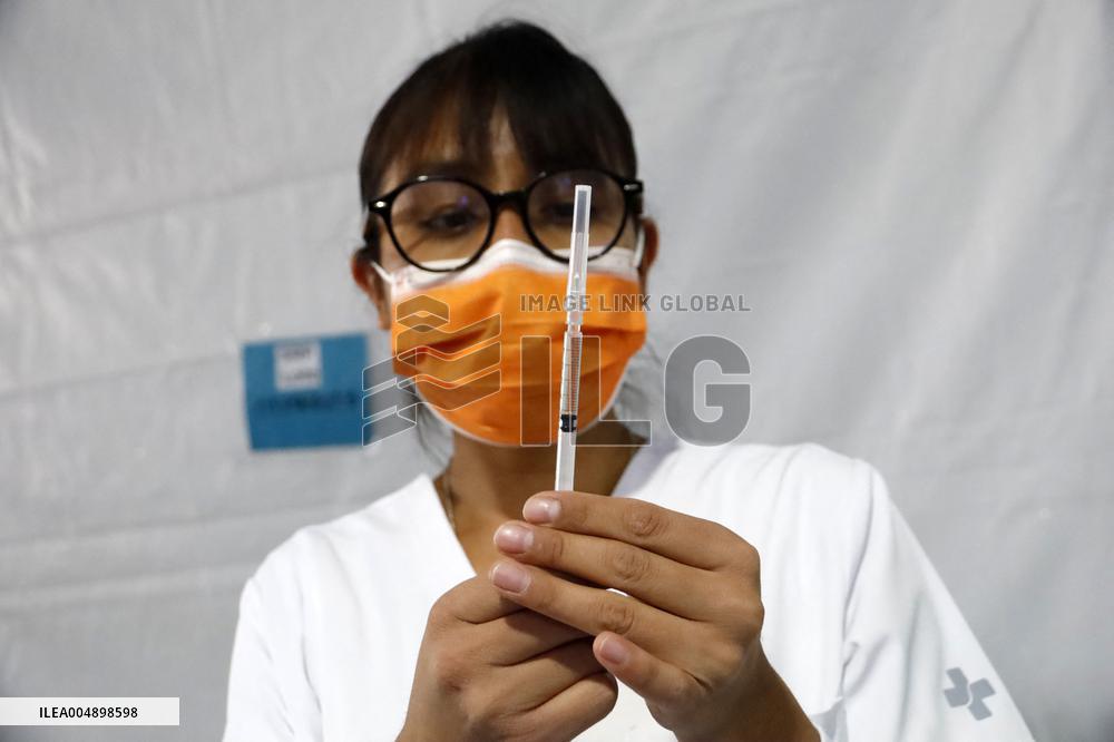 Vaccination Program Against Covid-19 and Influenza - Mexico City