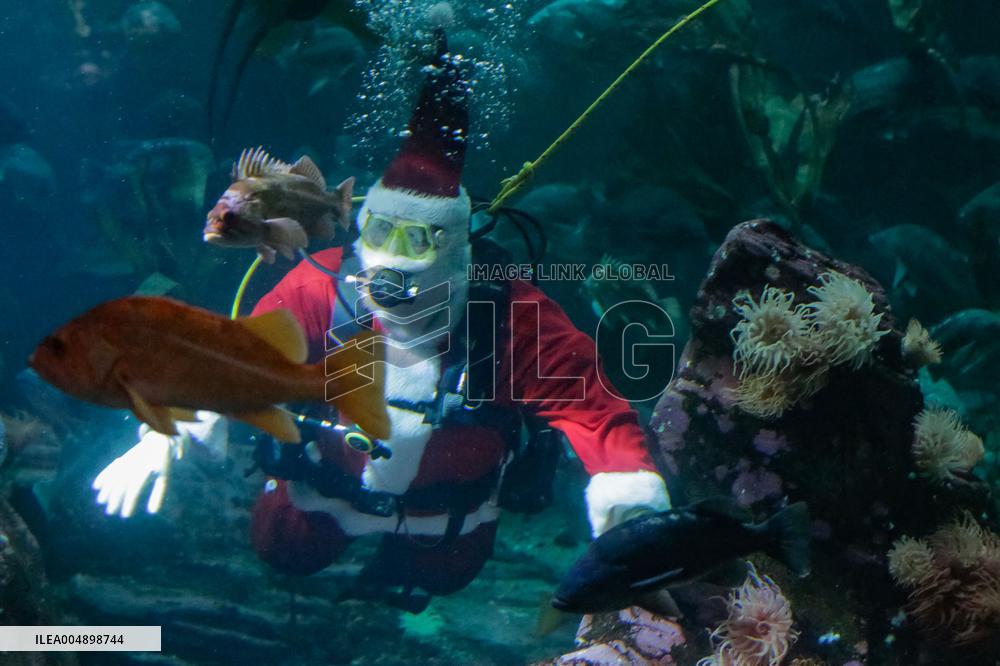 Santa Claus at the Vancouver Aquarium - Canada