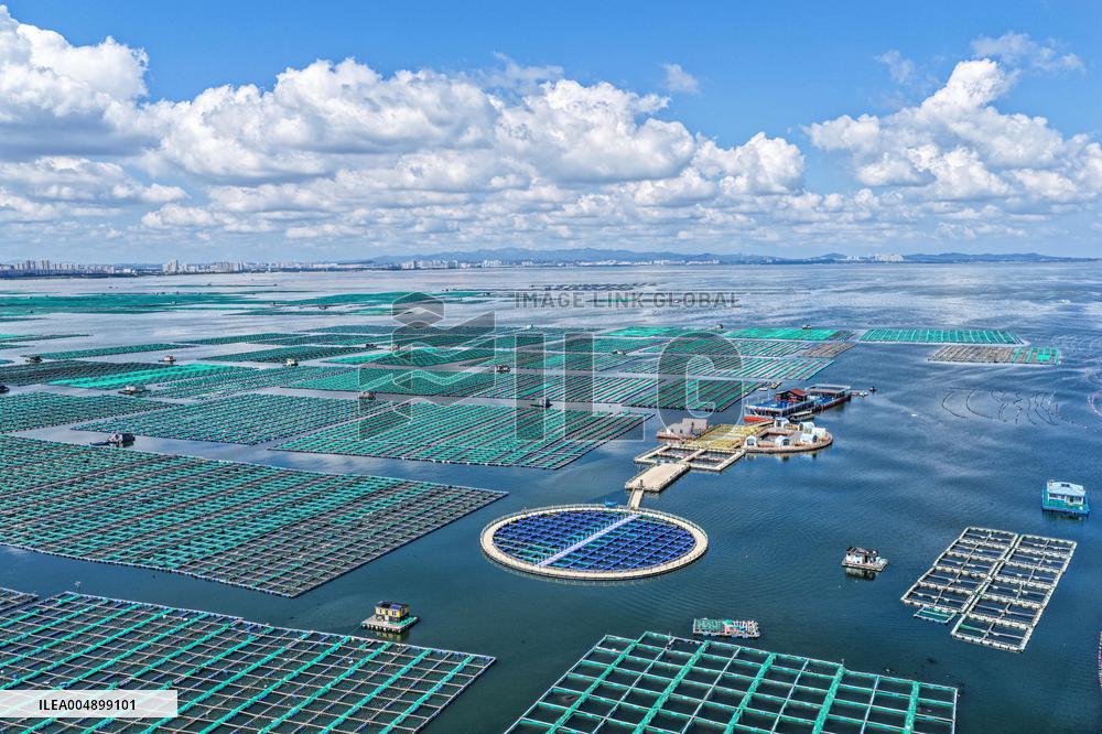 Marine Farms - China