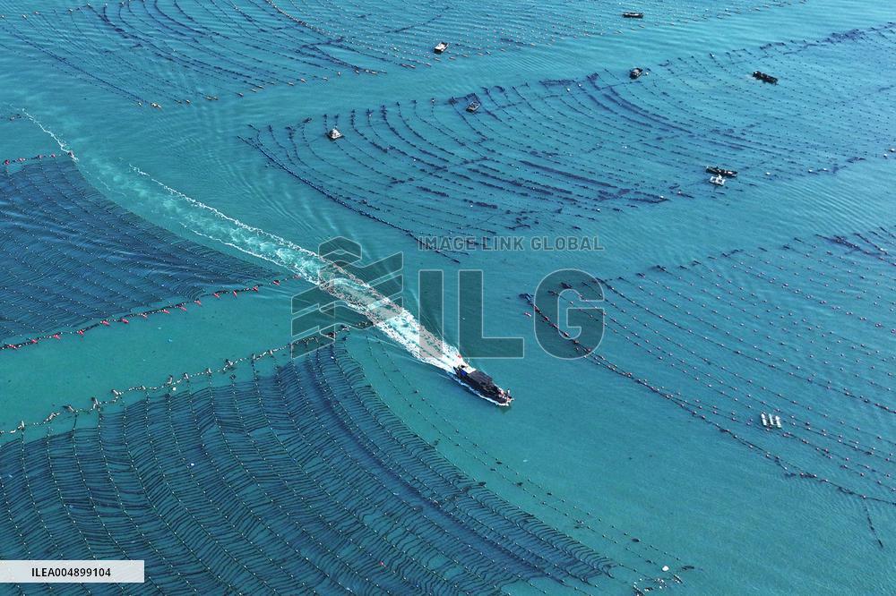 Marine Farms - China