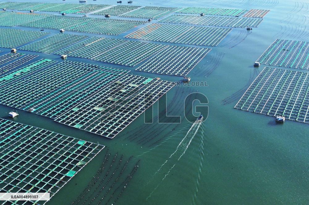 Marine Farms - China