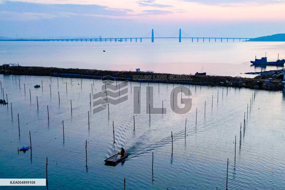 Marine Farms - China