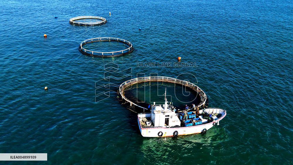 Marine Farms - China