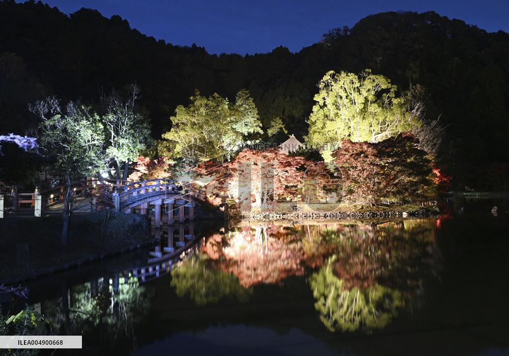 Special light-up at temple in northeastern Japan