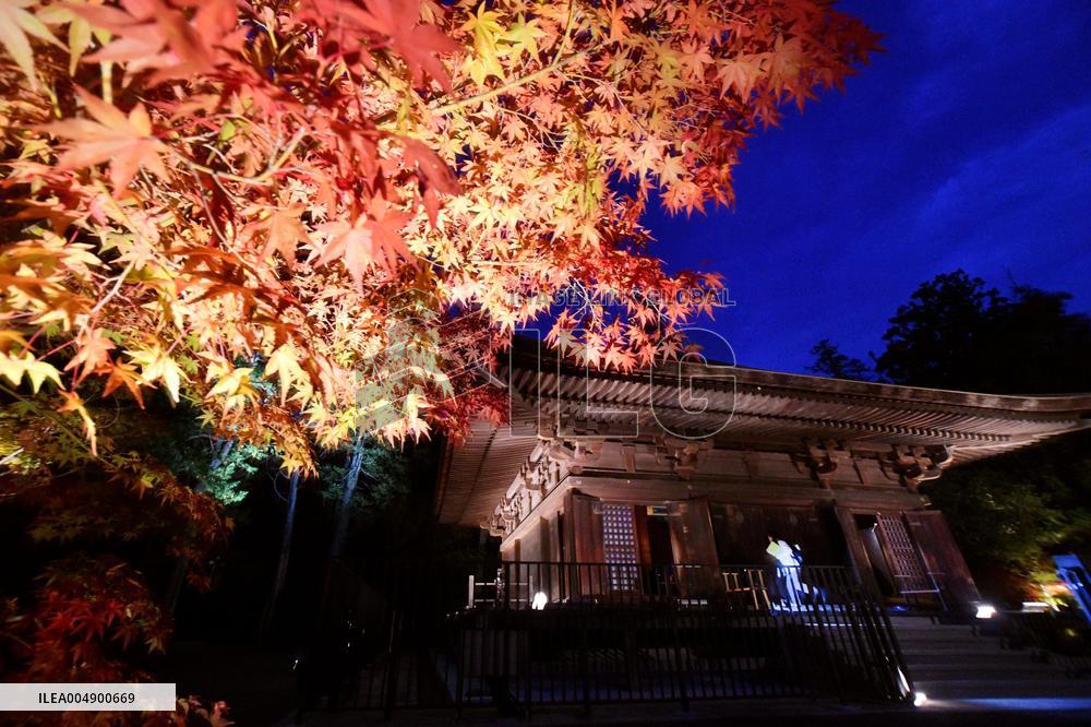 Special light-up at temple in northeastern Japan