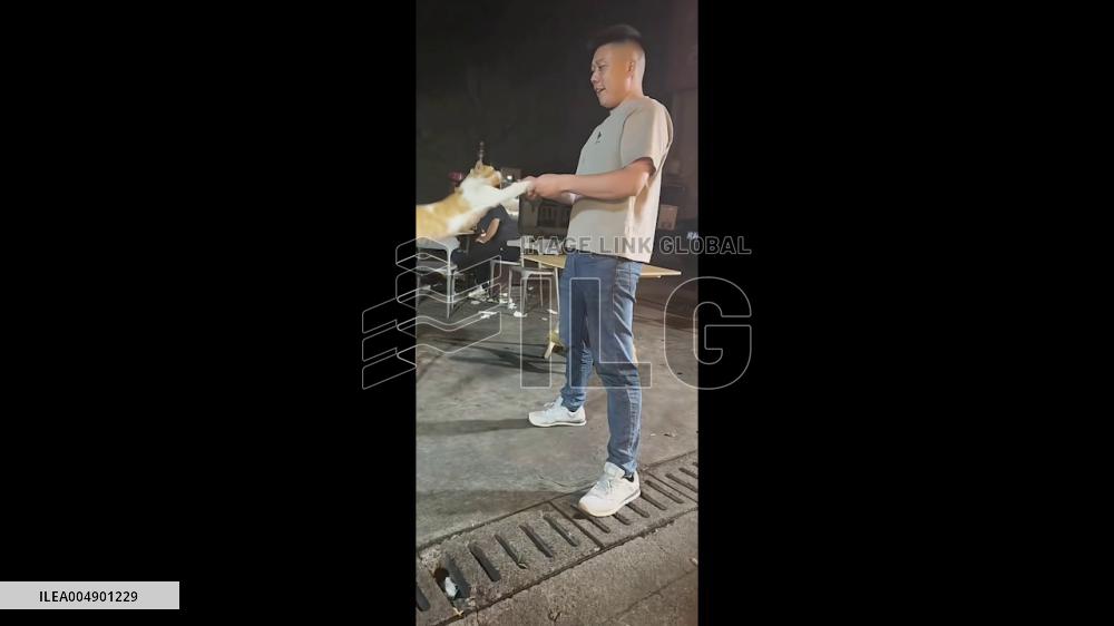 China: Cat Frozen as Owner Swings It Back and Forth in Jiangsu