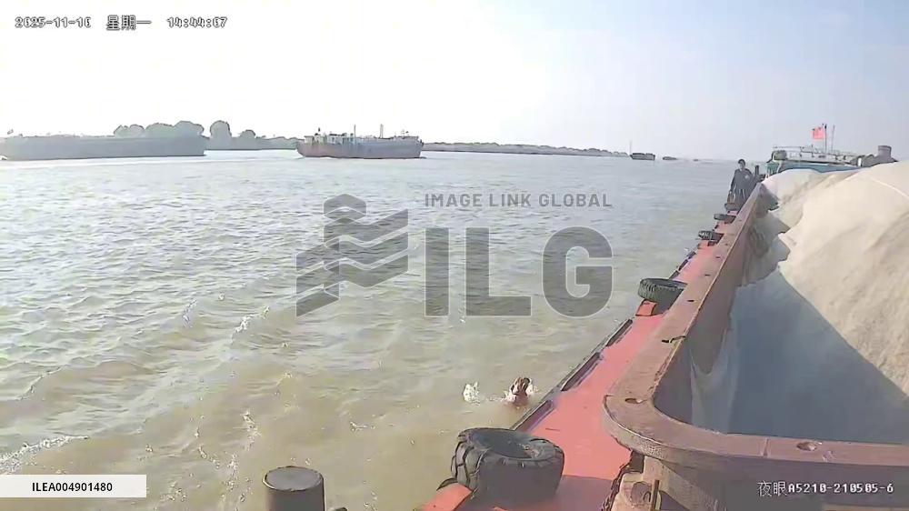 China: Maritime Patrol Rescues Dog After It Falls Into River in Jiangsu