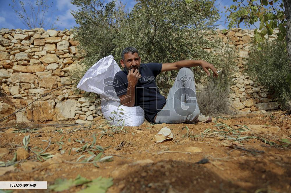 Palestinians Protest Against Israeli Settlers Near Hebron - Palestine