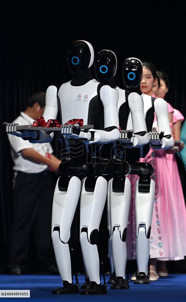 Humanoid Robot Appears At Boxing Awards - Shenzhen